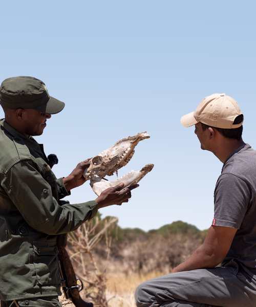 Southern Tanzania Safari